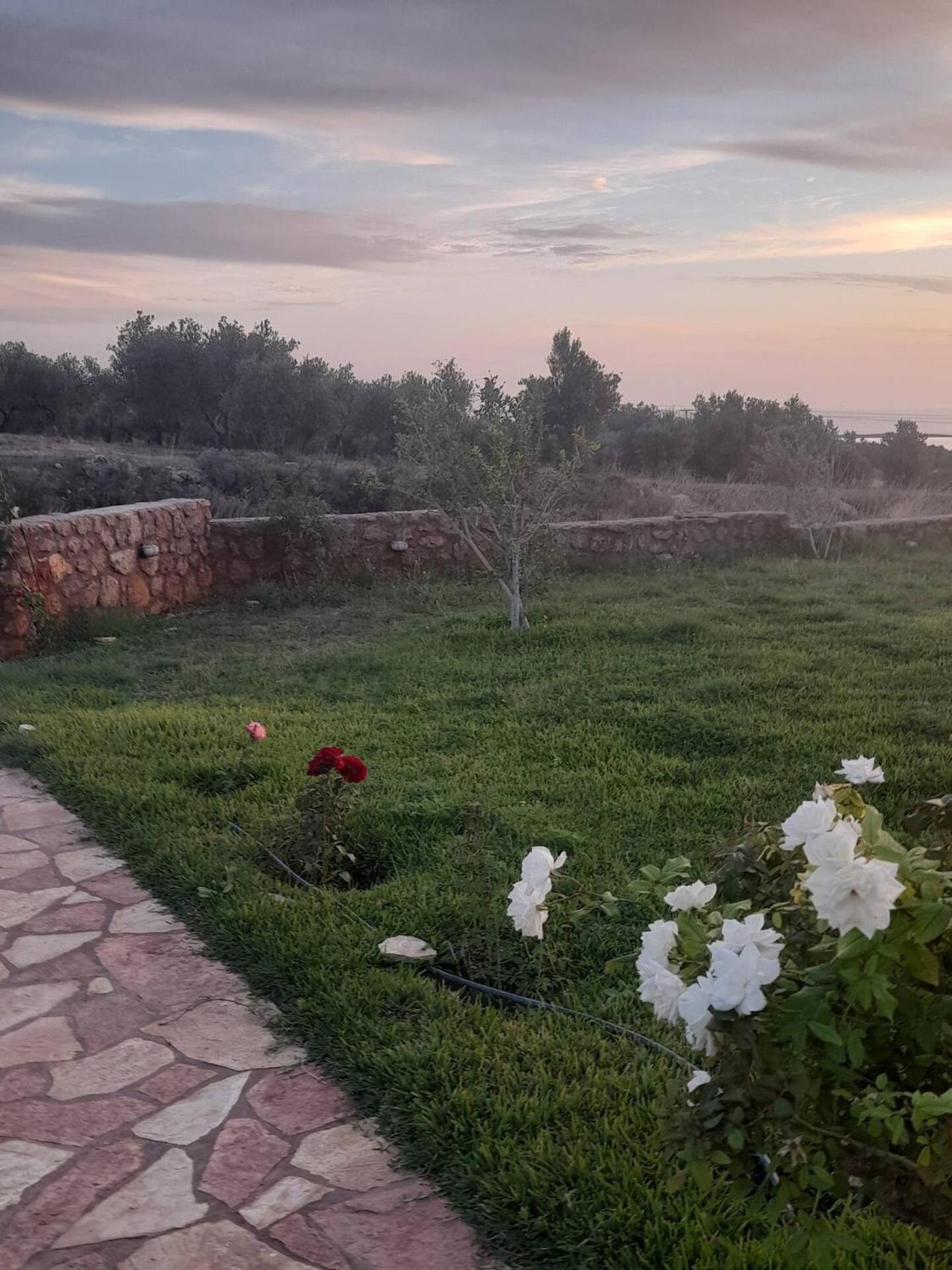 “Villa Othon-Leni” Paralia Demonias Exterior photo